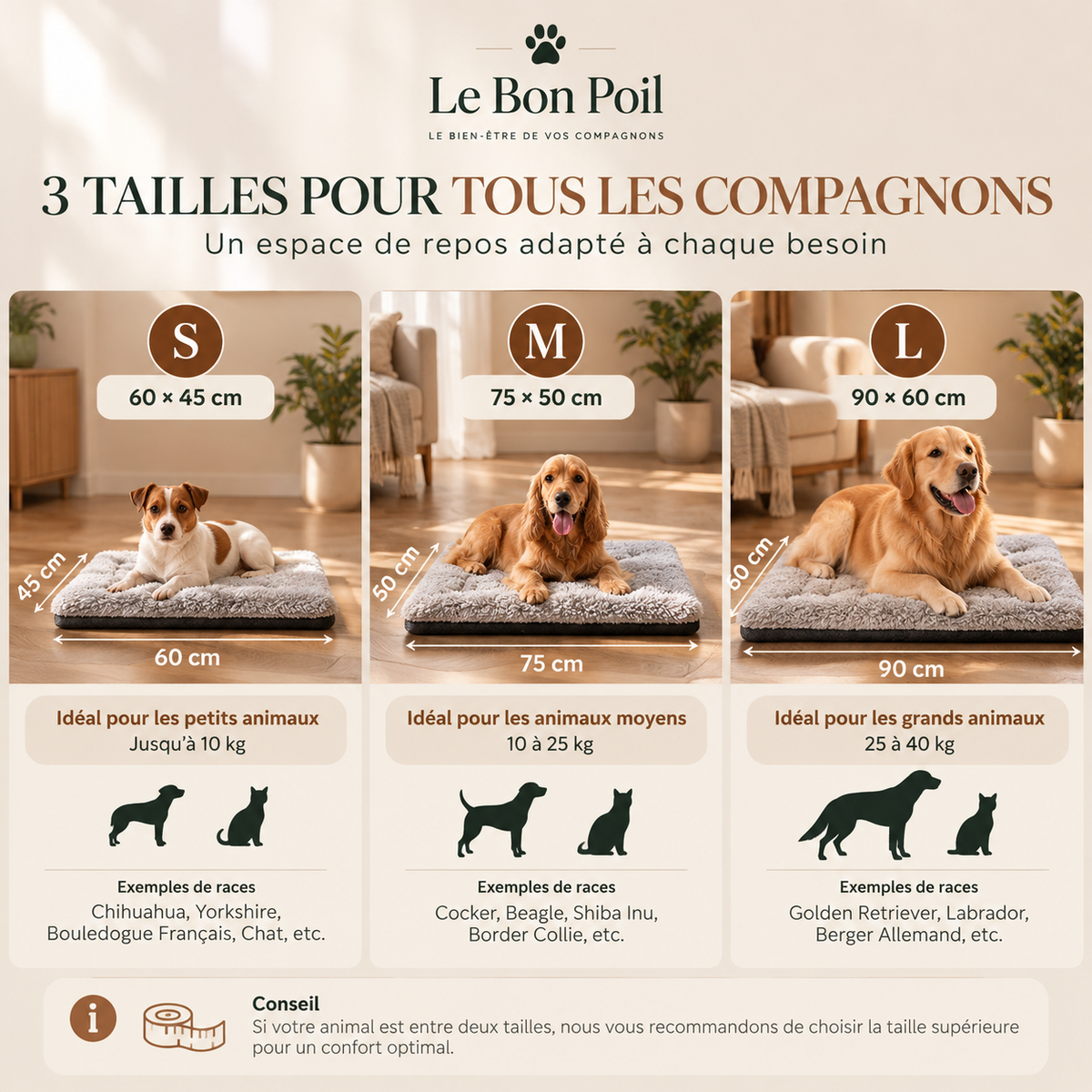 Coussin thermoréfléchissant pour chien et chat – Le Bon Poil